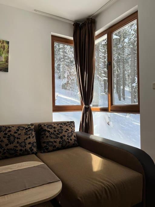 Ferienwohnung Forest Place Pamporowo Exterior foto